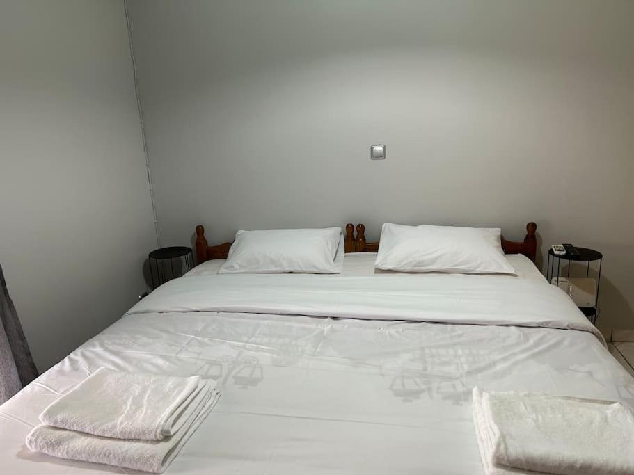 D2 Apartment - Athens Oasis מראה חיצוני תמונה